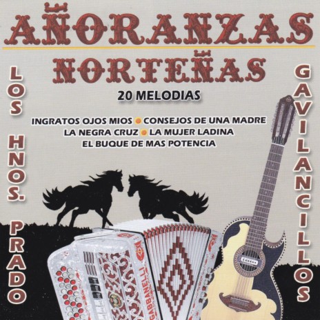 Confesión ft. Los Gavilancillos del Norte | Boomplay Music