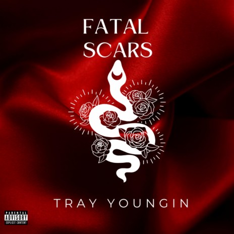 Fatal Scars | Boomplay Music