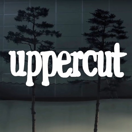 Uppercut | Boomplay Music