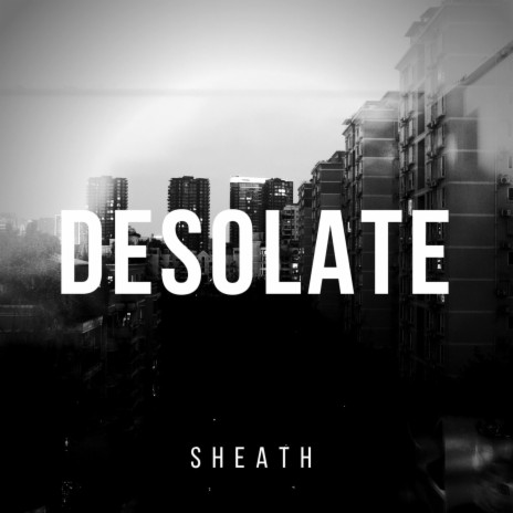 Desolate (Radio Edit) | Boomplay Music