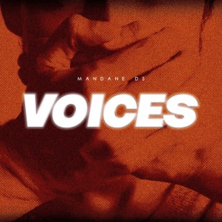 Voices lyrics | Boomplay Music