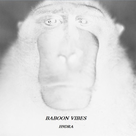 Baboon Vibes