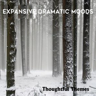 Thoughtful Themes: Expansive Dramatic Moods