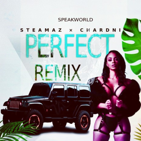 Perfect (feat. chardni) (Perfect Remix)