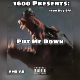 Put Me Down (feat. YMB AB)