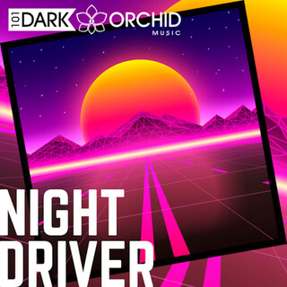 Night Driver