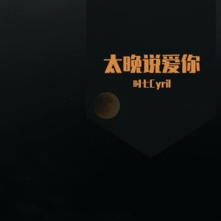 太晚说爱你 lyrics | Boomplay Music