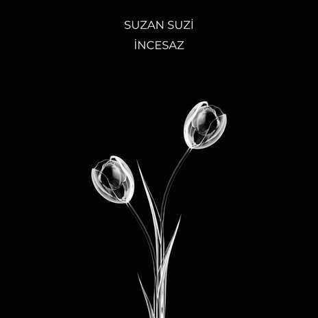 Suzan Suzi | Boomplay Music