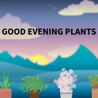 Good Evening Plants