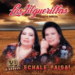 20 Exitos - Echale Paisa!