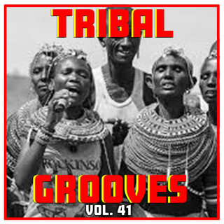 Tribal Grooves, Vol. 41