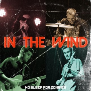 In The Wind lyrics | Boomplay Music