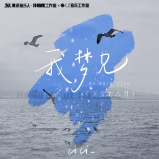 我梦见（下雪的八月） lyrics | Boomplay Music