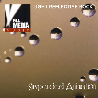 Suspended Animation: Light Reflective Rock