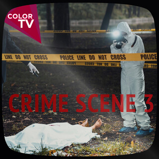 Crime Scene, Vol. 3