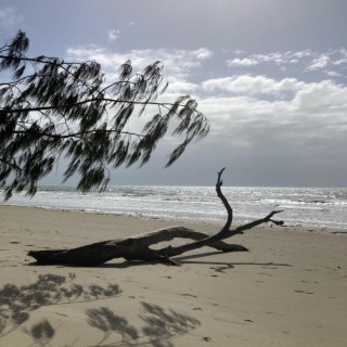 Port Douglas