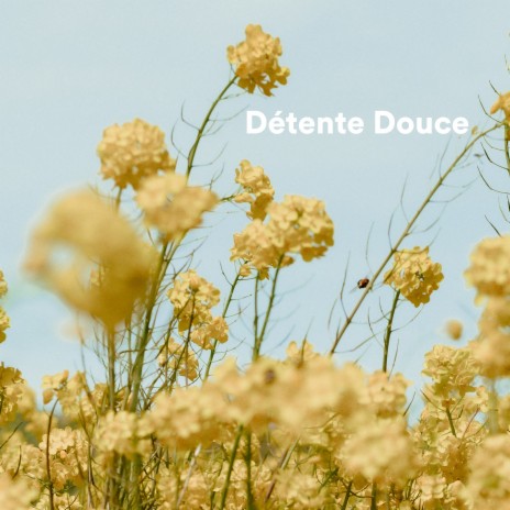 Find Yourself ft. Douce détente academie & Musique Calme et Relaxation