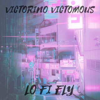 LO FI FLY