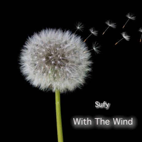 With the Wind | Boomplay Music