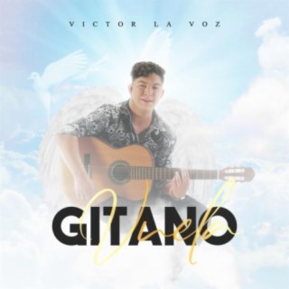 Vuela Gitano