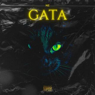 GATA lyrics | Boomplay Music