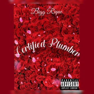 Certified Plumber lyrics | Boomplay Music