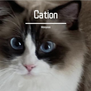Cation