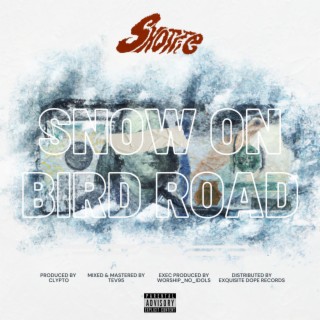 SNOW ON BIRD ROAD