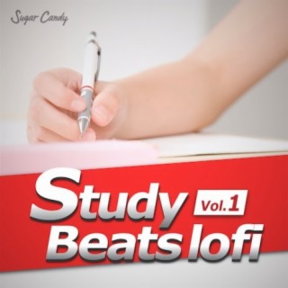 Study Beats lofi Vol.1