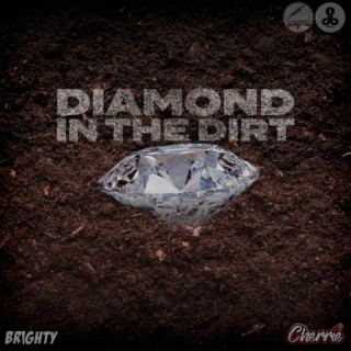 Diamond In The Dirt