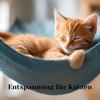 Entspannung für Katzen: Therapiemusik zum Entspannen deines Kätzchens, Schlaflied für dein Haustier