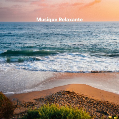 The Nature of Your Cool ft. Musique Calme et Relaxation & Relaxation Sommeil et Détente