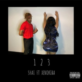 1 2 3 (feat. XENOKIRA)