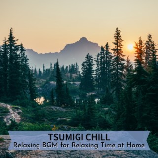 Relaxing Bgm for Relaxing Time at Home