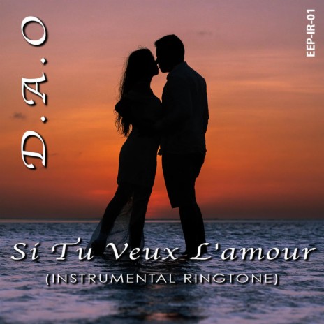 Si Tu Veux L'amour (Instrumental) | Boomplay Music