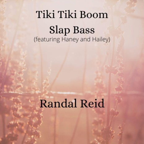 Tiki Tiki Boom Slap Bass ft. Haney and Hailey