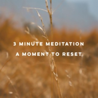 3 Minute Meditation (A Moment to Reset)