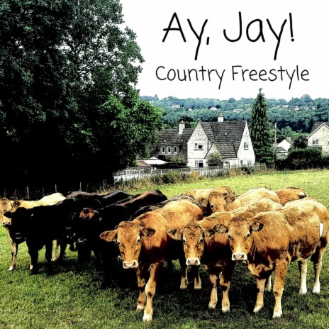 Country Freestyle