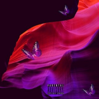 Butterfly ft. N.W.E ZuRich lyrics | Boomplay Music