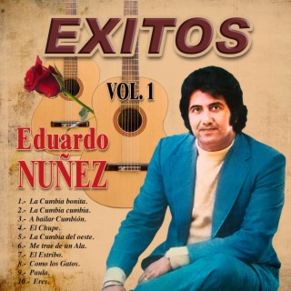 Exitos, Vol. 1