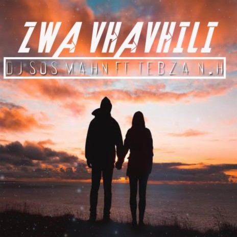Zwa Vhavhili ft. Tebza N.H | Boomplay Music