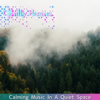 Calming Music in a Quiet Space