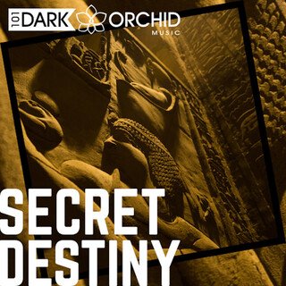 Secret Destiny