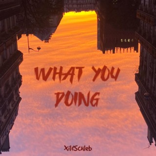What you doing? ft. Schleb lyrics | Boomplay Music