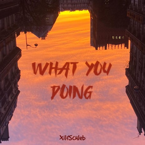 What you doing? ft. Schleb | Boomplay Music