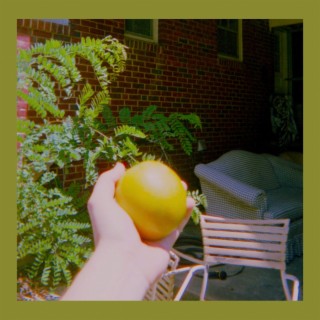 grapefruit lyrics | Boomplay Music