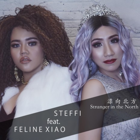 Stranger in the North (feat. Feline Xiao) | Boomplay Music