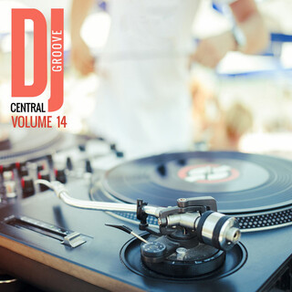 DJ Central Groove Vol, 14