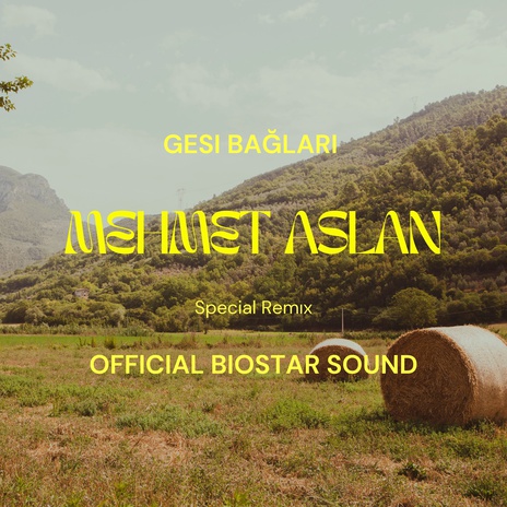 Gesi Bağları (Special Remix) | Boomplay Music