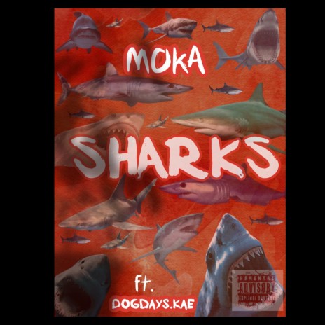 SHARKS ft. Dogdays.Kae | Boomplay Music